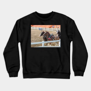 Horse show Crewneck Sweatshirt